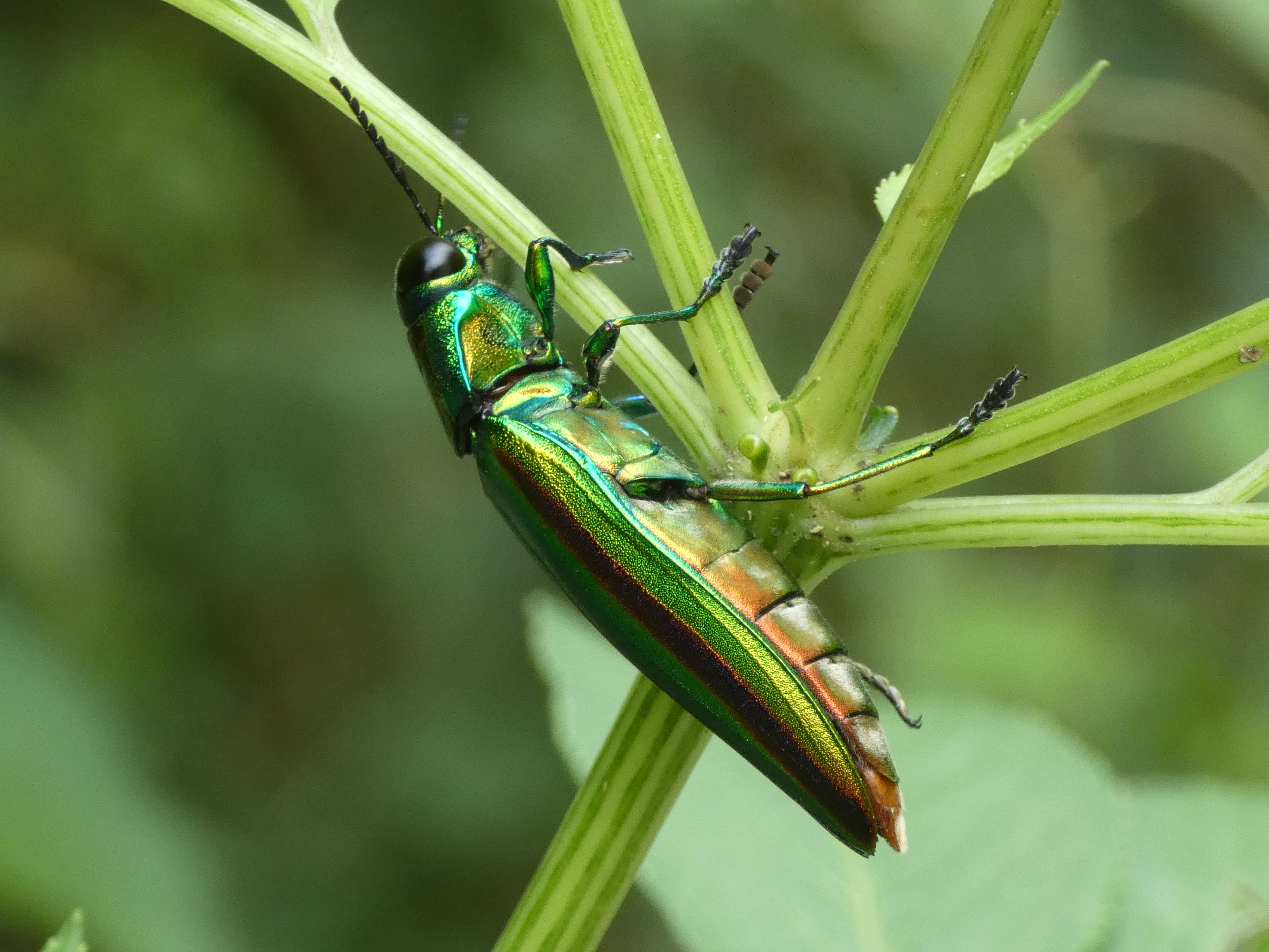 photo_1